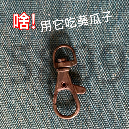 吃葵瓜子小撇步 吃葵瓜子小撇步